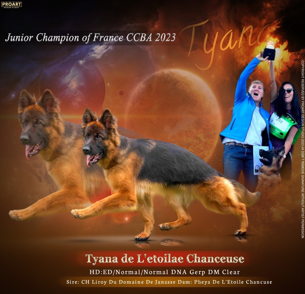 Tyana De  L'Etoile Chanceuse