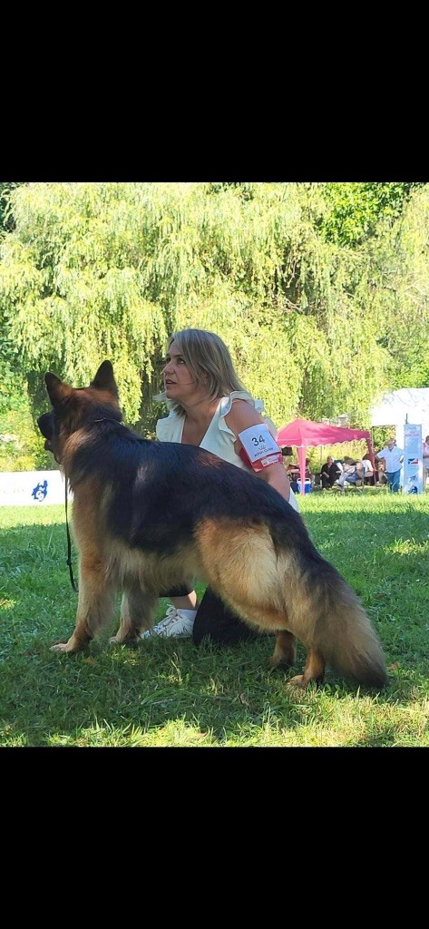 Saïko De  L'Etoile Chanceuse