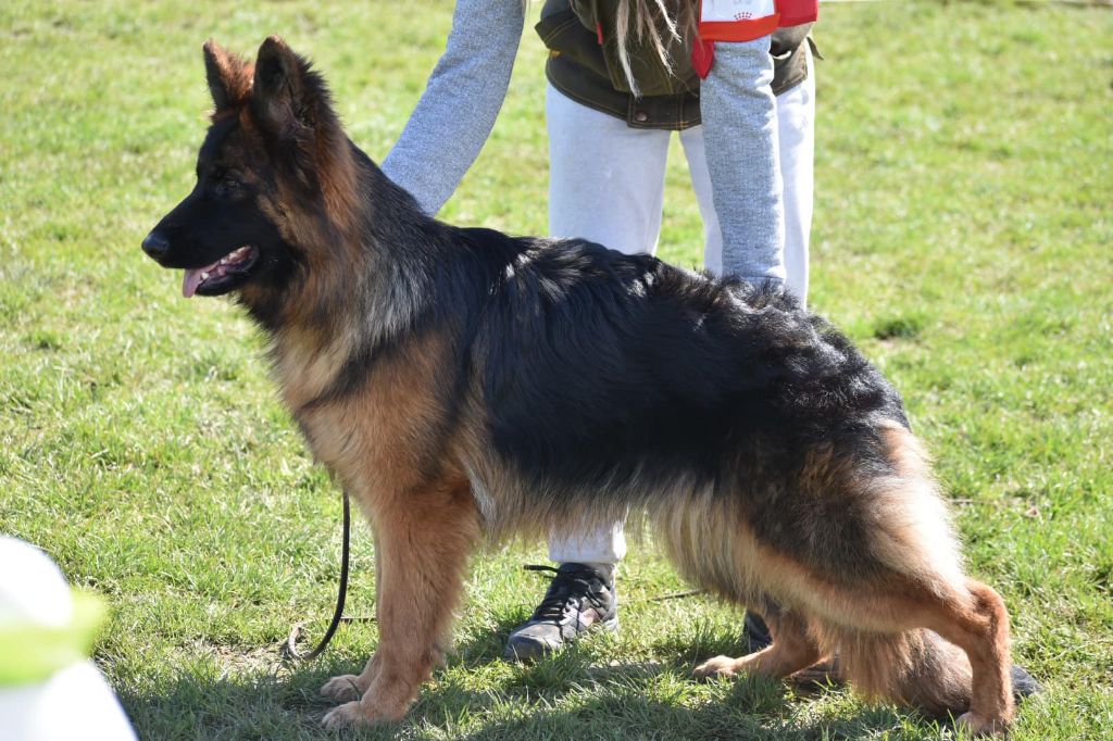 Seren De L'Etoile Chanceuse