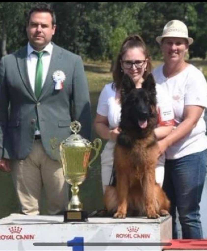 Utopia De  L'Etoile Chanceuse