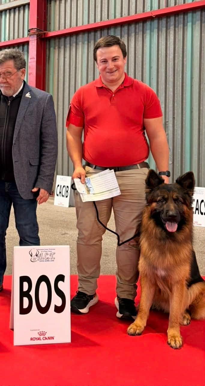 Très beau résultat pour Vulcain de L'Etoile Chanceuse!