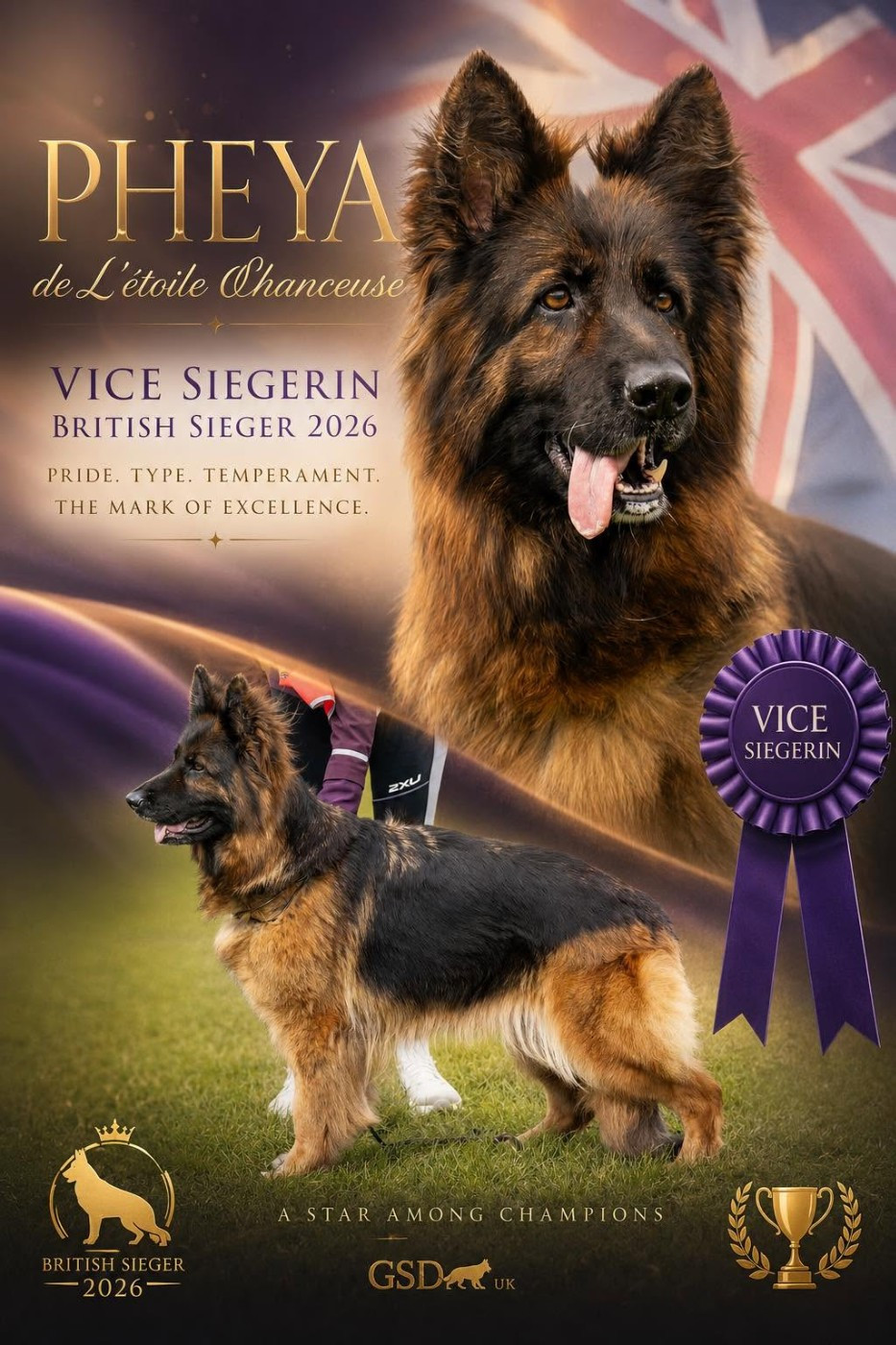 Pheya de L'etoile Chanceuse Vice Siegerin Britannique 2026. 🏆