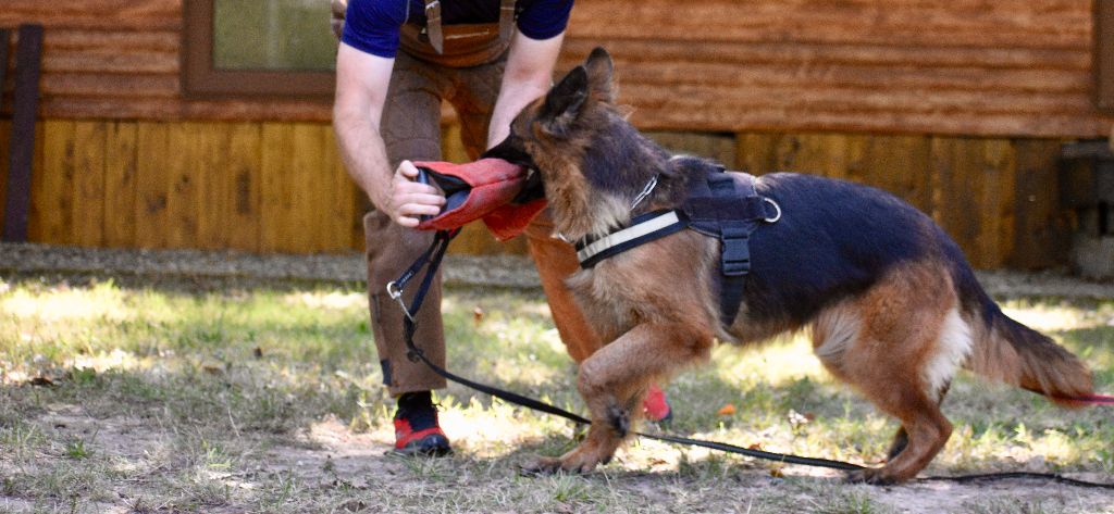 Photo's de Nala